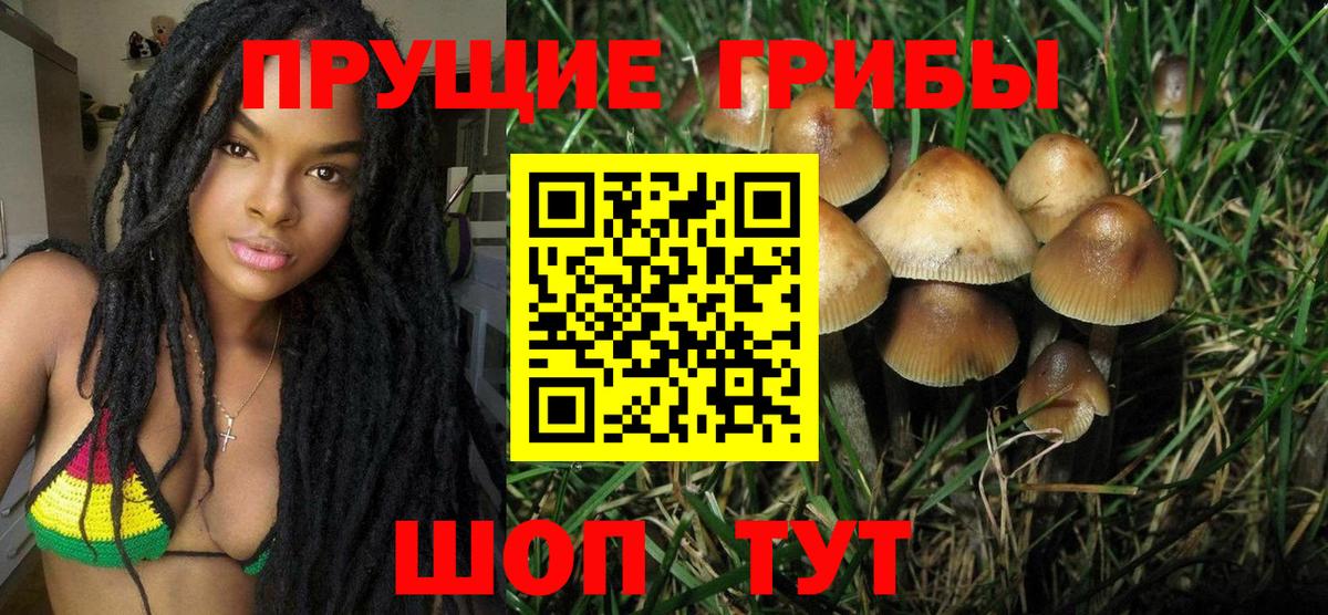Псилоцибиновые грибы Magic Shrooms  Вход с VPN  Салават  Галлюциногенные грибы Cubensis 